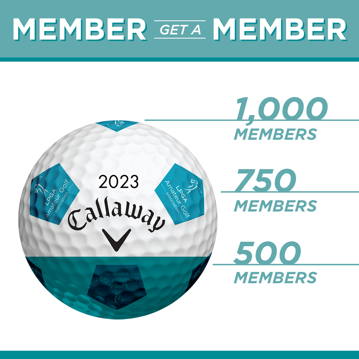 Member Get a Member 2024 Callaway Golf - 530 Graphic