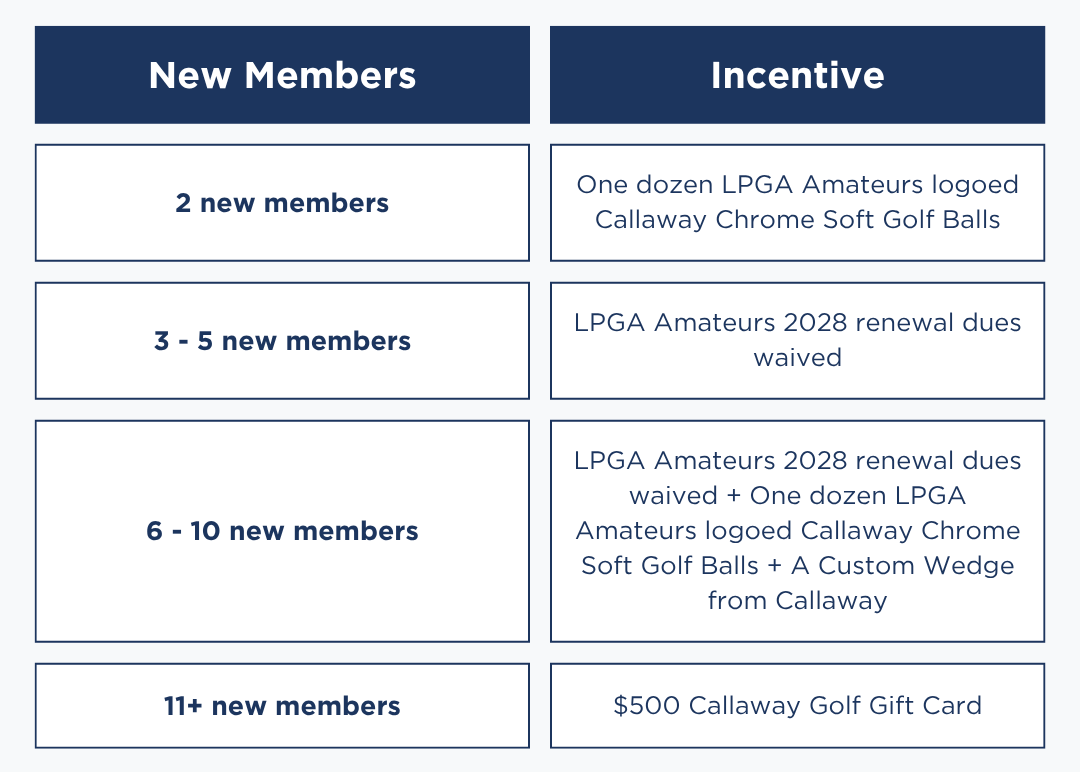 MGAM Incentives (2)