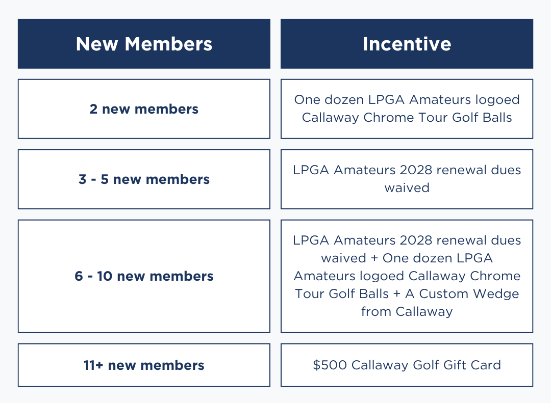 MGAM Incentives (3)
